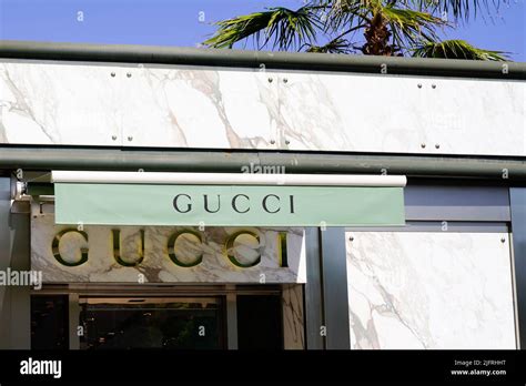 pacca gucci